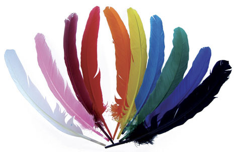 Plumes Assortiment naturel 10 cm 50 pièces - DIY ref 2362