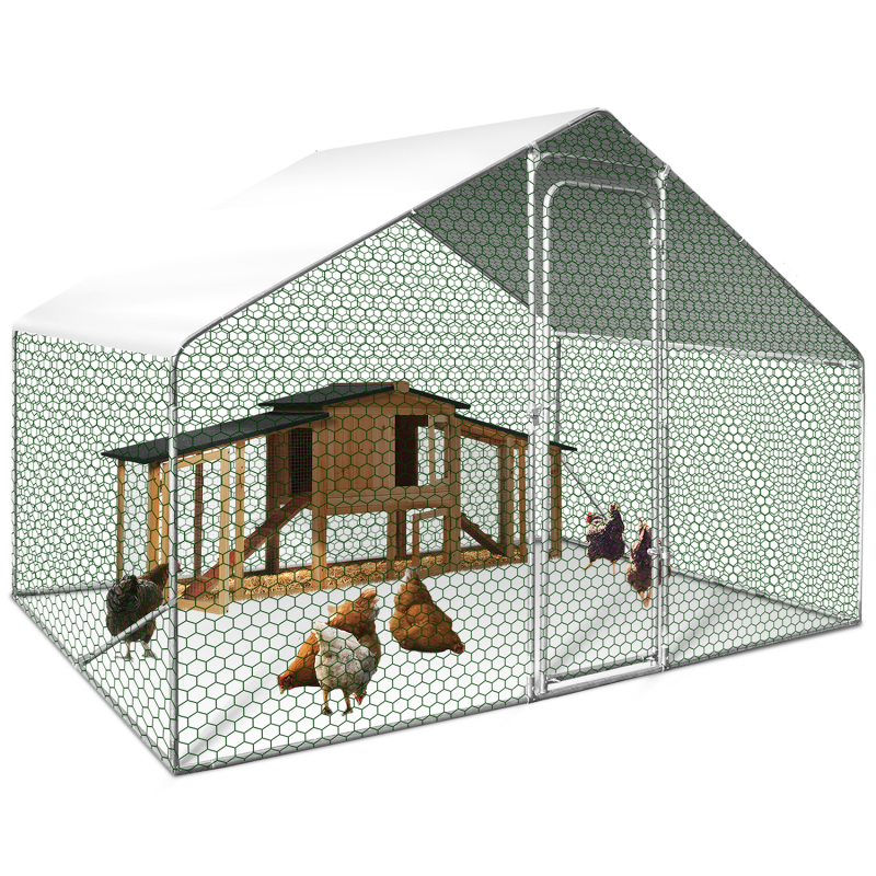 Mangeoire Silo Zolux Pour Poules - Plastique Translucide 2 Kg - Pour Basse-Cour & Agriculture Urbaine