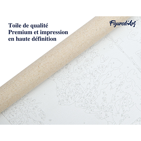 Figured'Art Peinture par Numéro Adulte Femme Aquarelle - Activité Manuelle Kit de Loisir Créatif DIY Numéro d'Art Complet - 40x50cm avec châssis en Figured'Art Peinture par Numéro Adulte Femme Aquarelle - Activité Manuelle Kit de Loisir Créatif DIY Numéro d'Art Complet - 40x50cm avec châssis en
