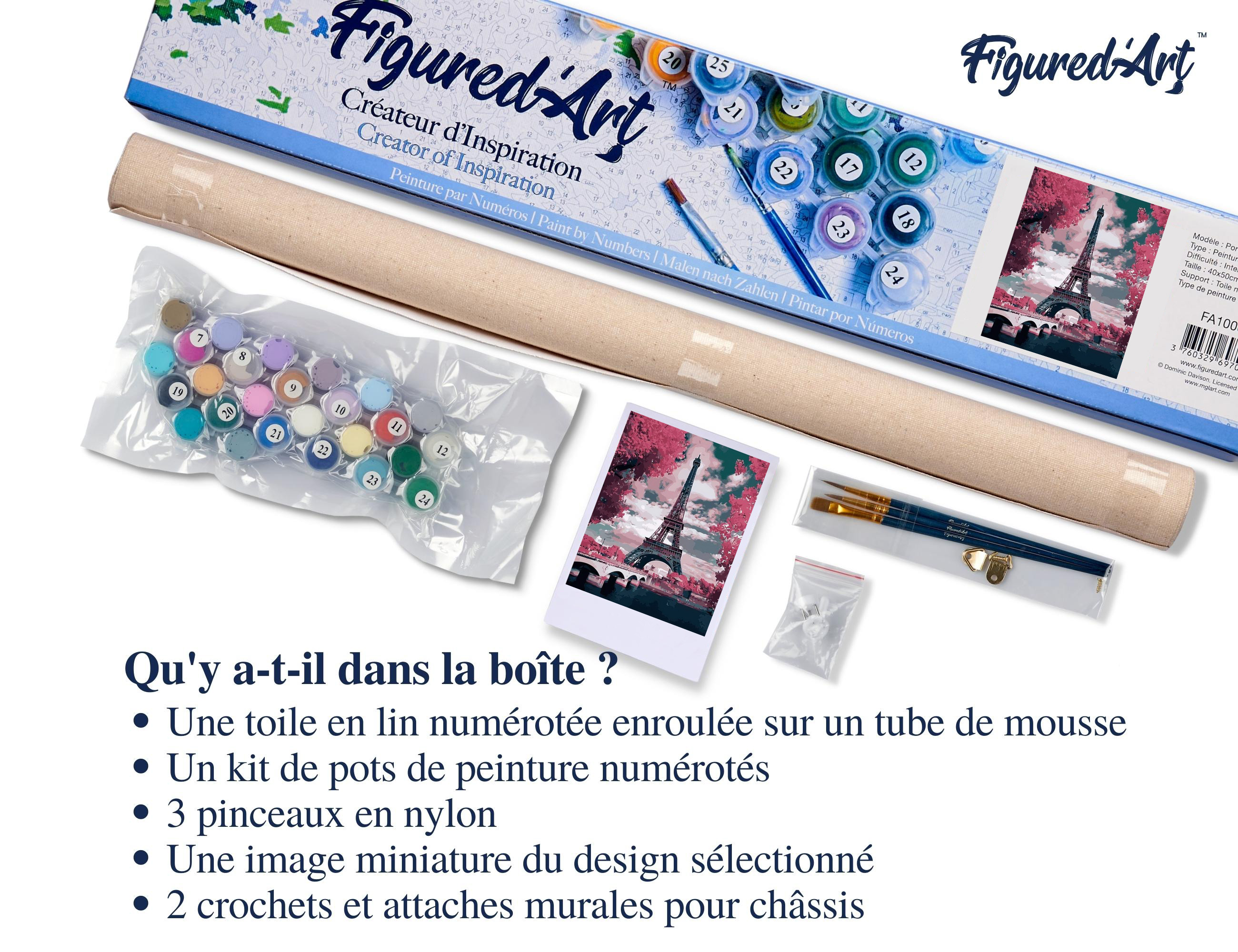 Komicea Peinture par Numéros Adultes, 2 Pièces DIY Kit de Peinture à L'huile, Peinture Numero Enfants Débutants avec Peinture et Pinceau pour la Décoration de la Maison (40 * 50cm