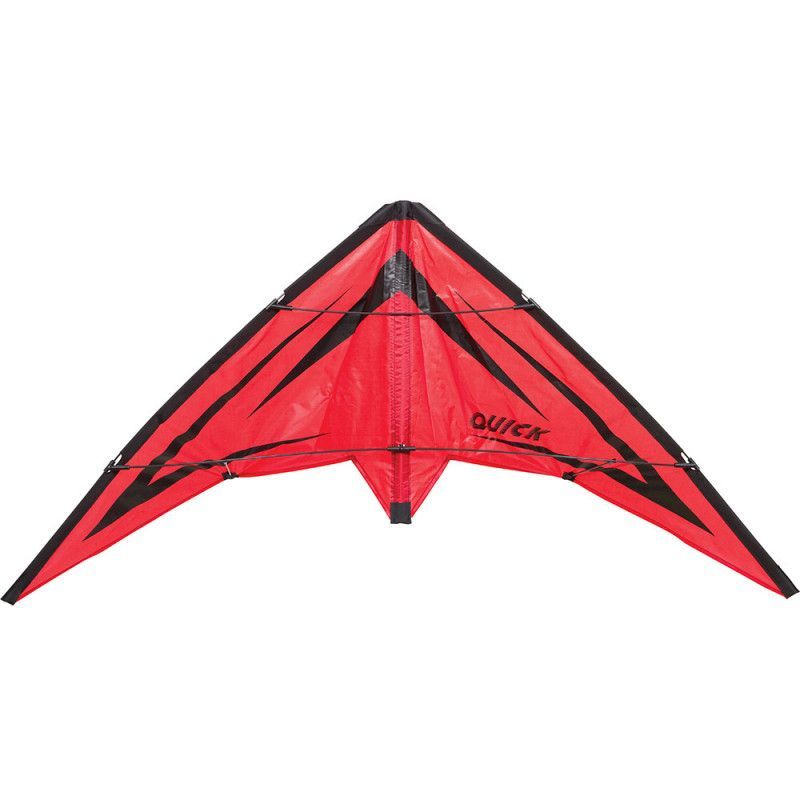 Cerf-volant Acrobatique 2 Lignes 120x60 Cm - Cadre Carbone - Parfait Pour Débutants - Pour Parc, Plage, Plein Air - 3