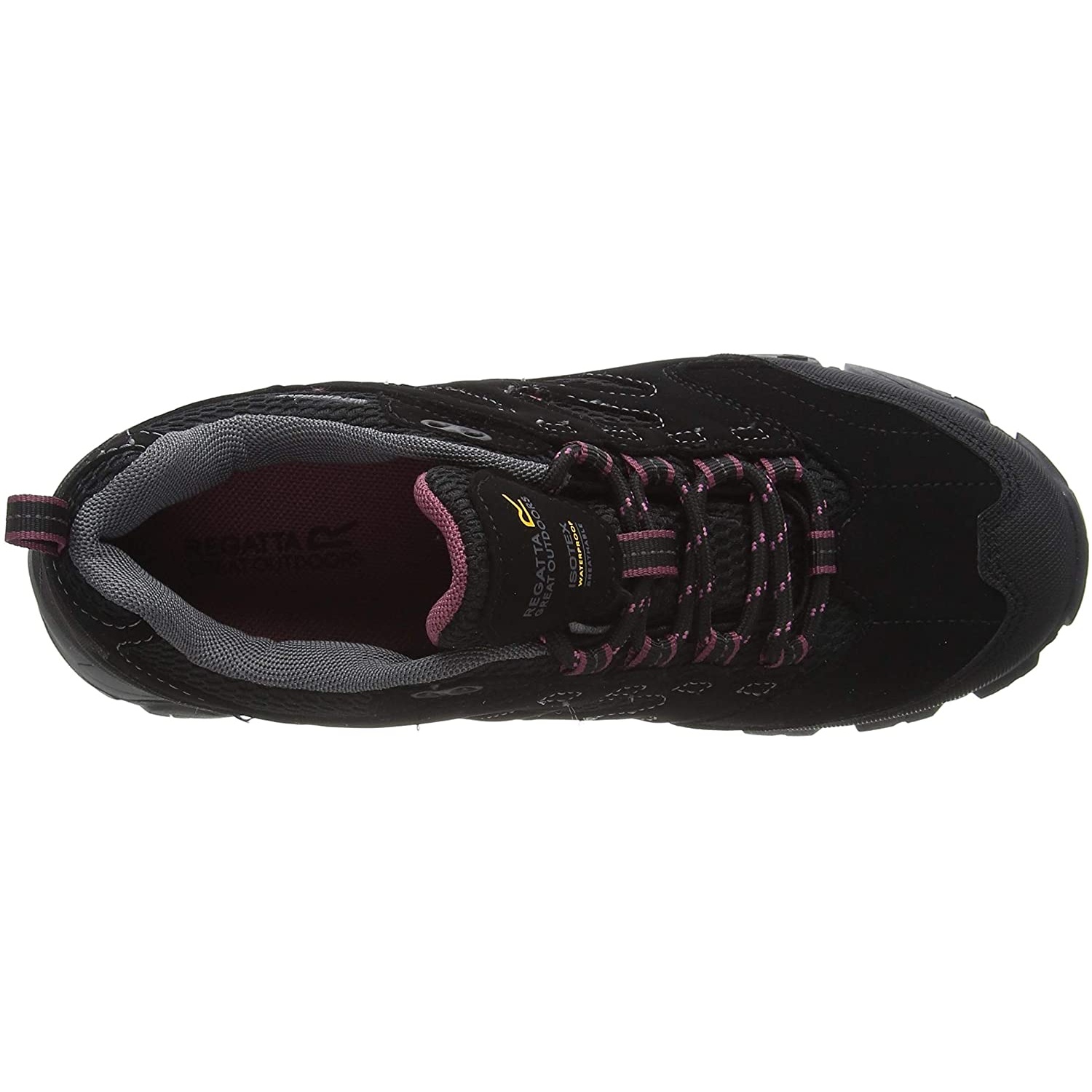 Chaussures homme Regatta Holcombe IEP Low