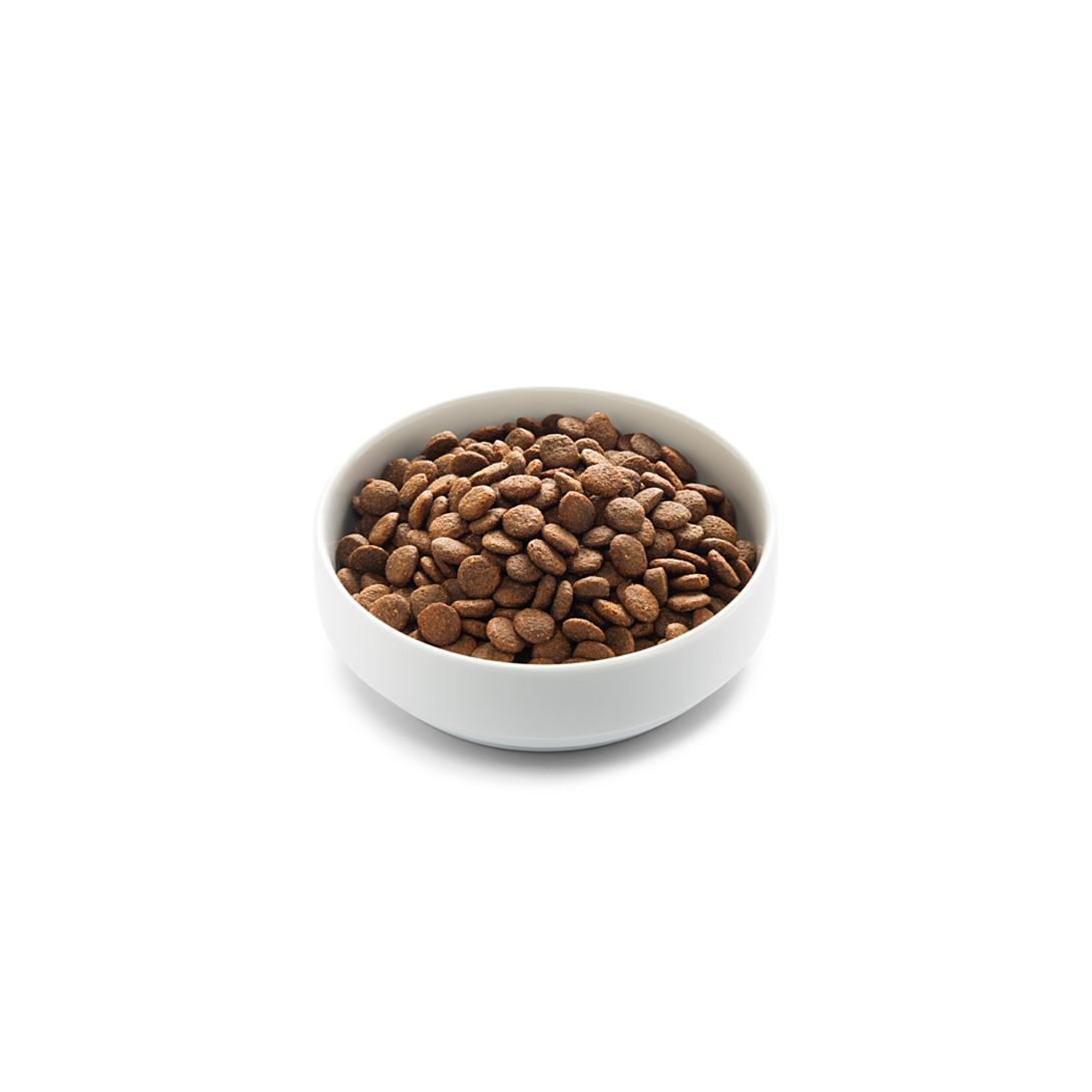 Edgard & Cooper Multipack Morceaux En Sauce Sans Céréales Pour Chat