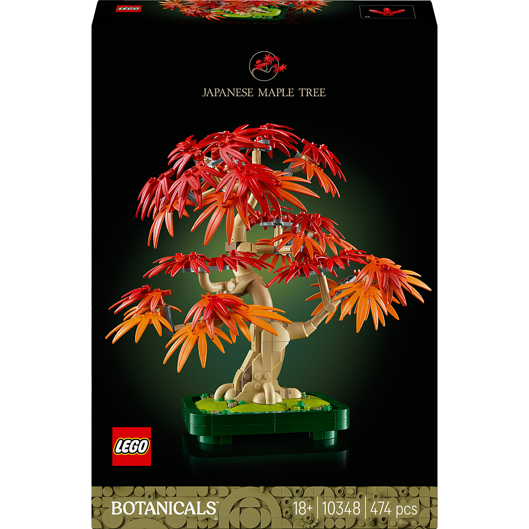LEGO Botanicals Bonsaï d’Érable Rouge du Japon 10348 - vue 4