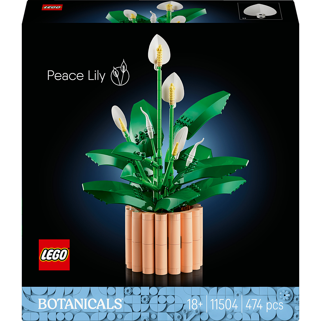 LEGO Botanicals Les Fleurs de Lune 11504 - vue 8