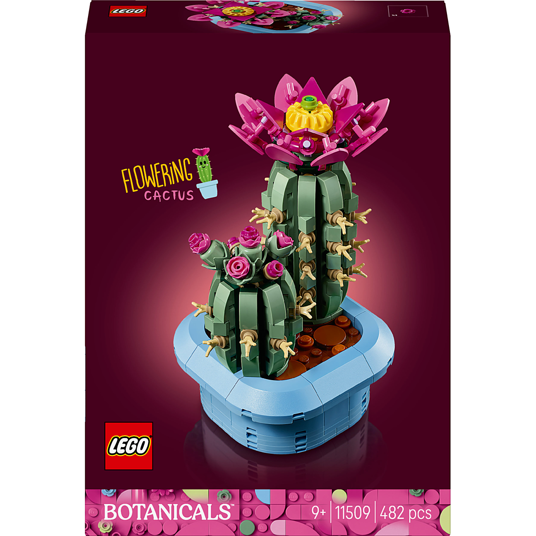 LEGO Botanicals Cactus Fleuri 11509 - vue 10
