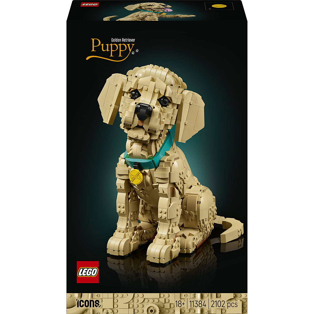 LEGO Icons Le Chiot Golden Retriever 11384 - vue 9