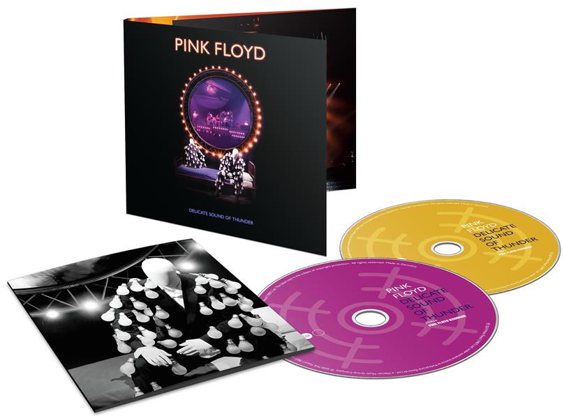 delicate sound of thunder - deluxe