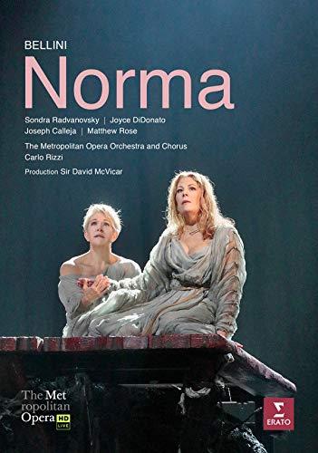 Bellini: norma