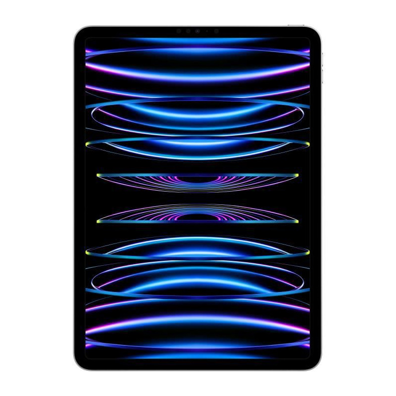 iPad Pro 12,9 Wi-Fi - 6ème génération - tablette - 256 Go