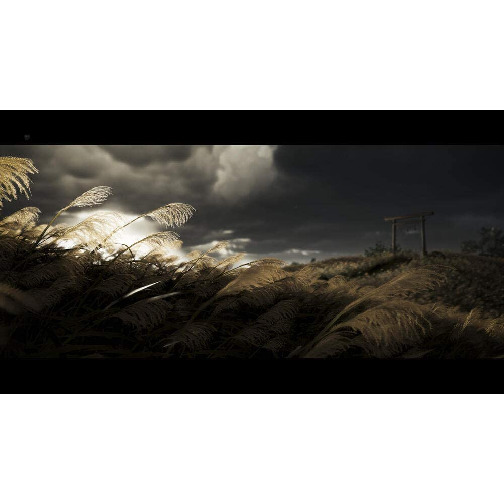 Ghost Of Tsushima Director's Cut (PS5)