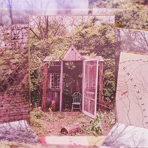 Carolina confessions