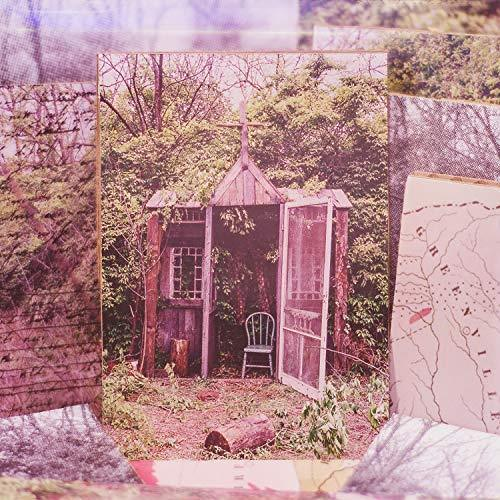 Carolina confessions