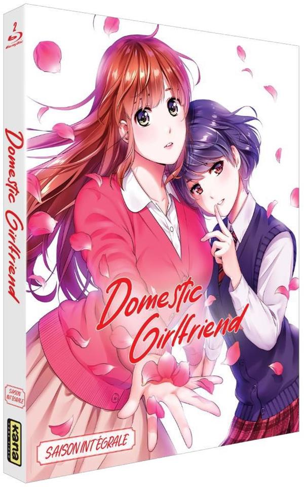 Domestic Girlfriend - Love x Dilemma - Saison 1