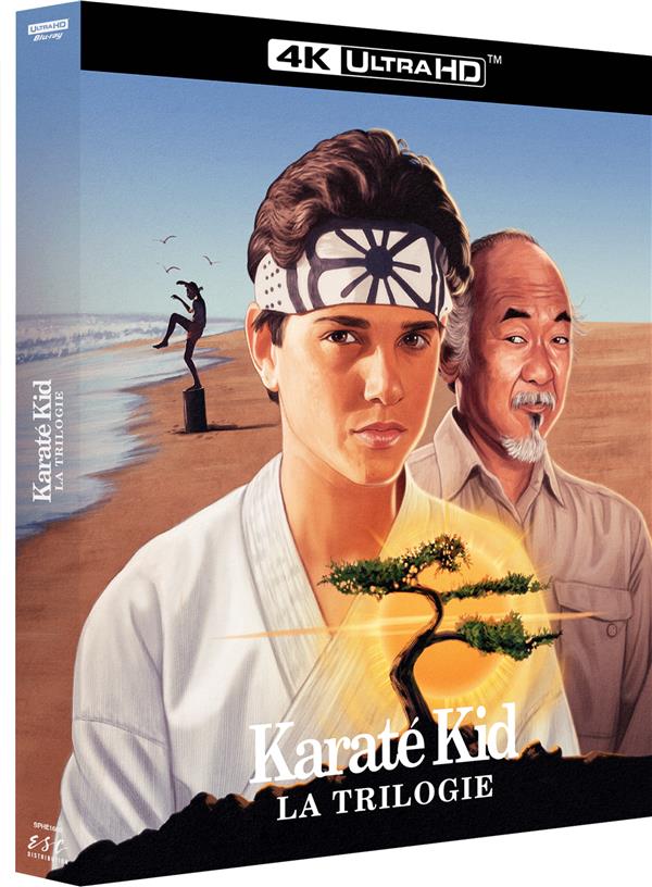 Karaté Kid - Trilogie