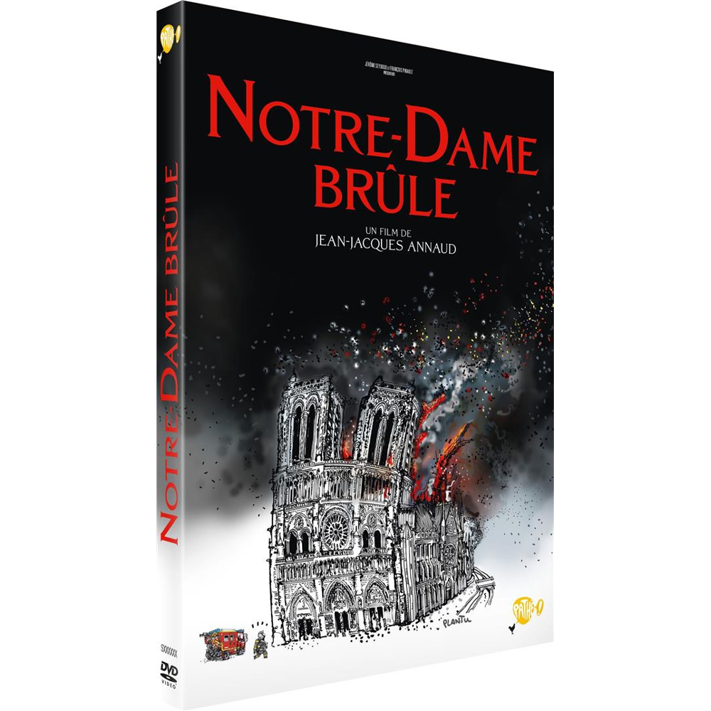 Notre-Dame brûle