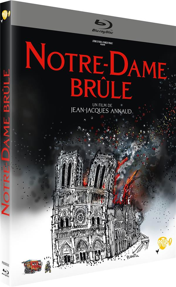 Notre-Dame brûle