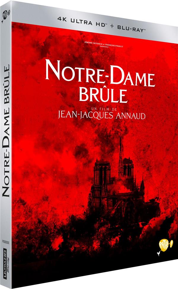 Notre-Dame brûle