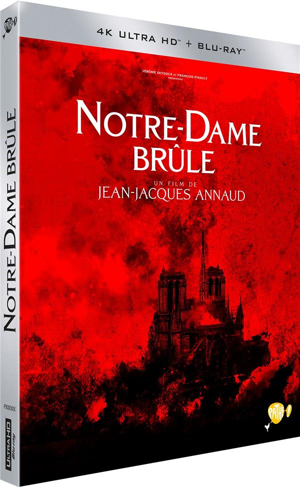 Notre-Dame brûle