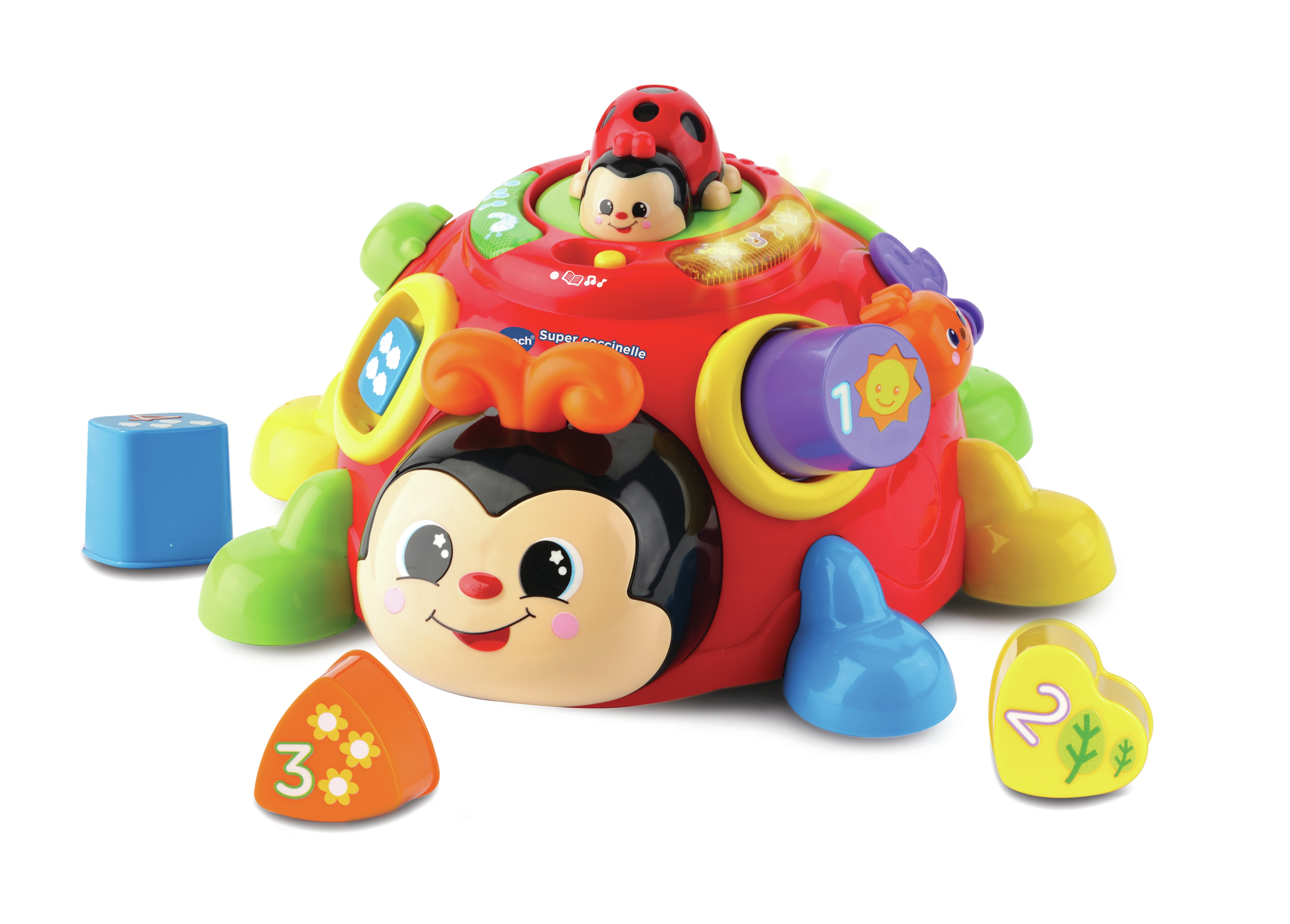 Super Coccinelle Des Formes