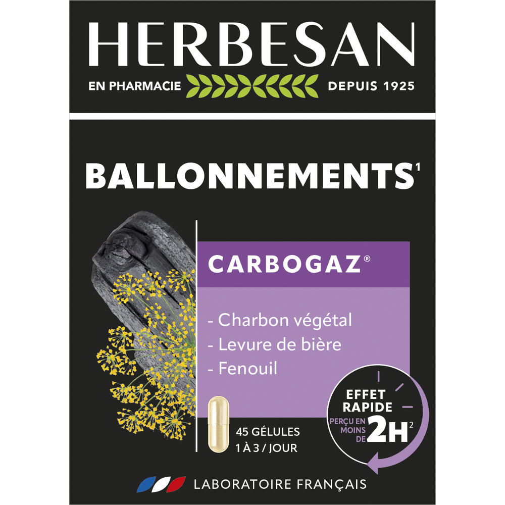 Carbogaz - 45 gélules