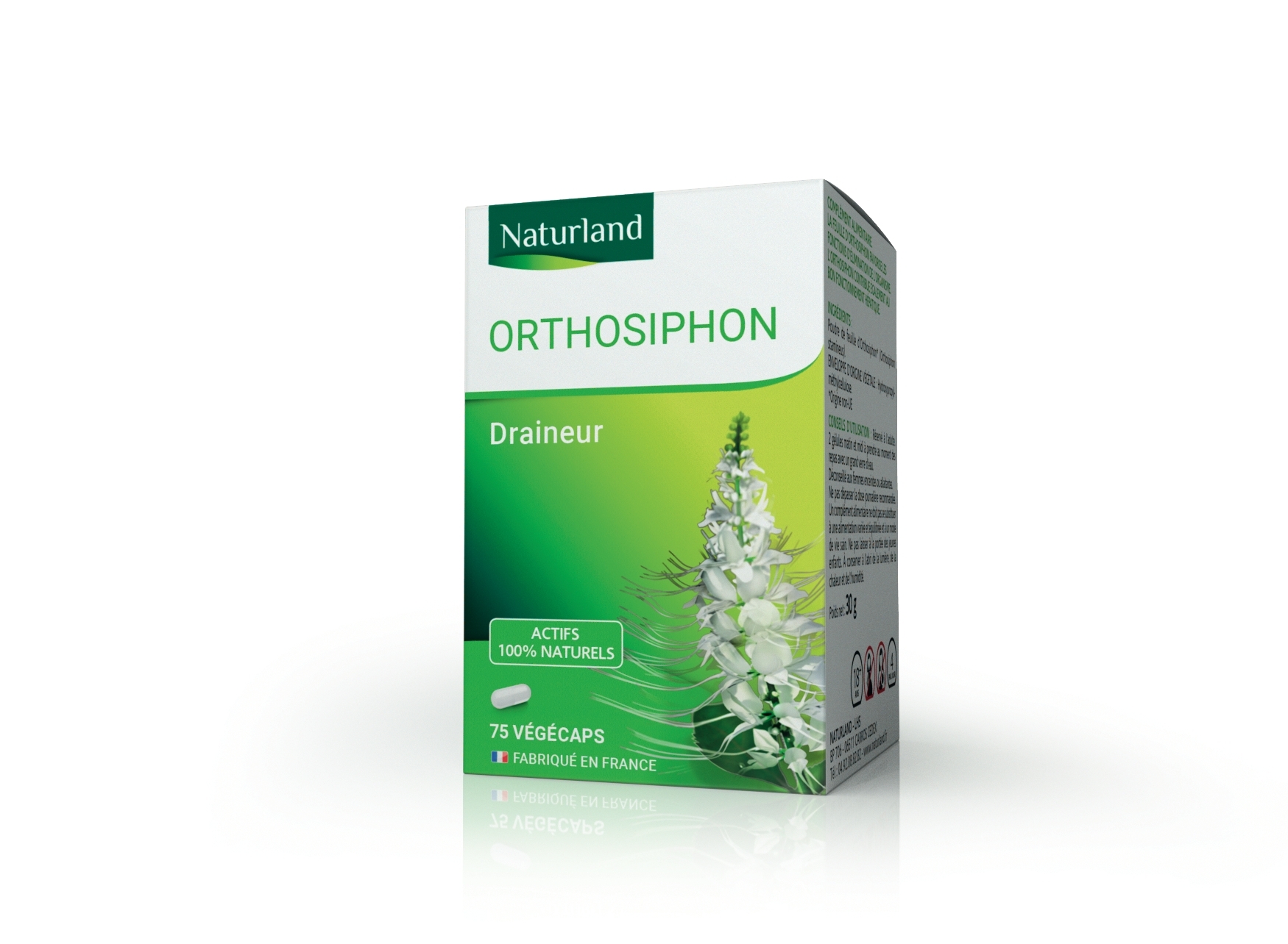 Orthosiphon, Draineur 75 végécaps