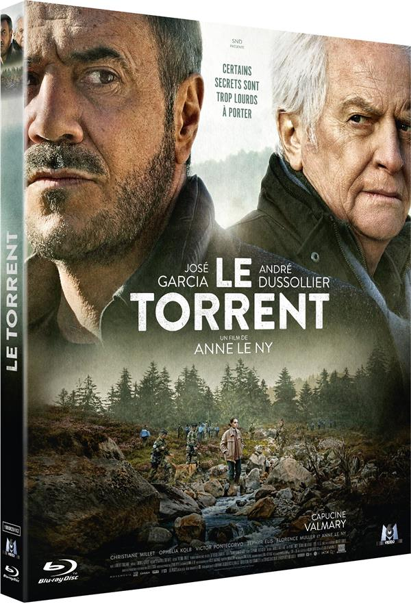 Le torrent