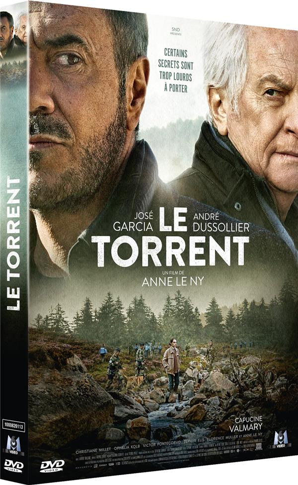 Le torrent