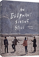 an elephant sitting still