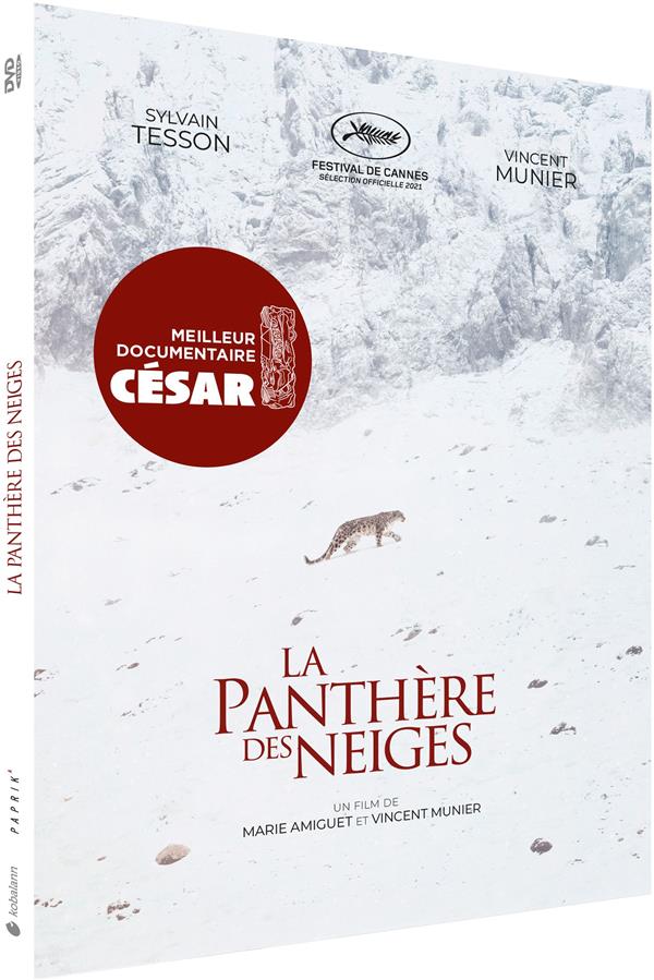 La panthère des neiges