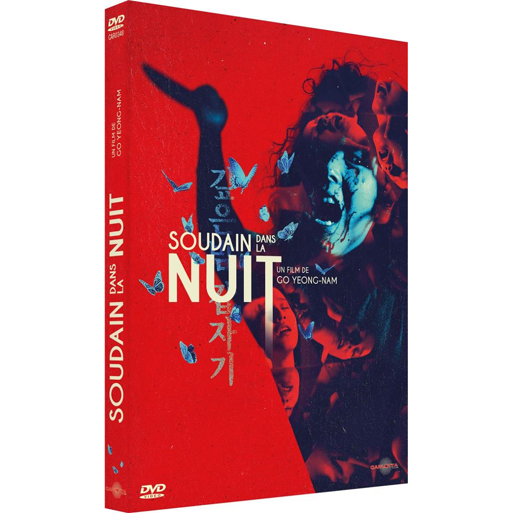 Soudain dans la nuit