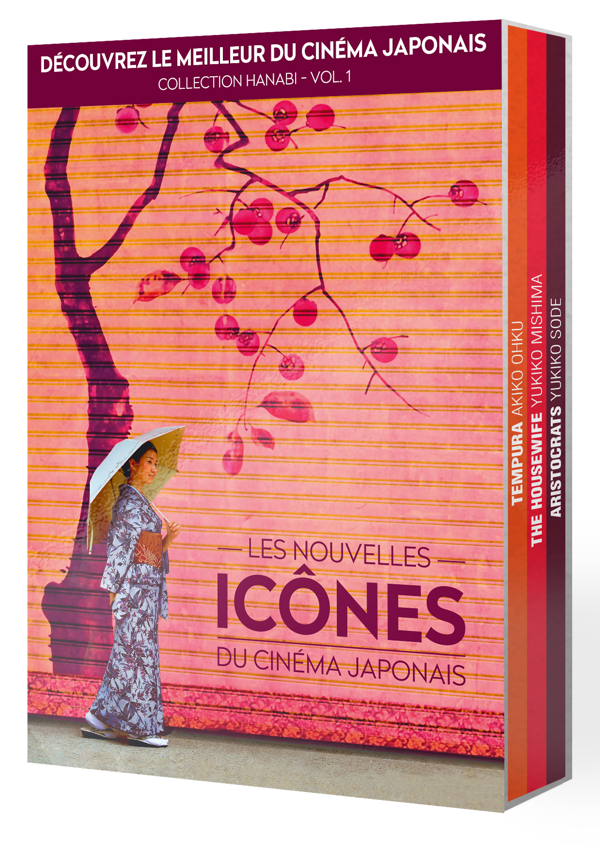 Les nouvelles icônes du cinéma japonais - Collection Hanabi - Volume 1