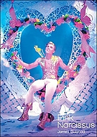 pink Narcissus :version light,DVD DVD