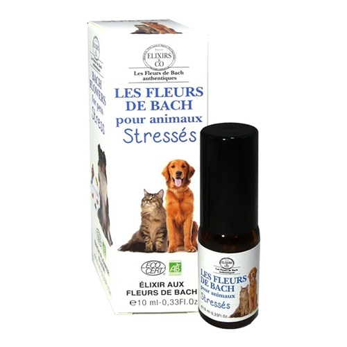 Les fleurs de bach pour animaux stressés 10ml