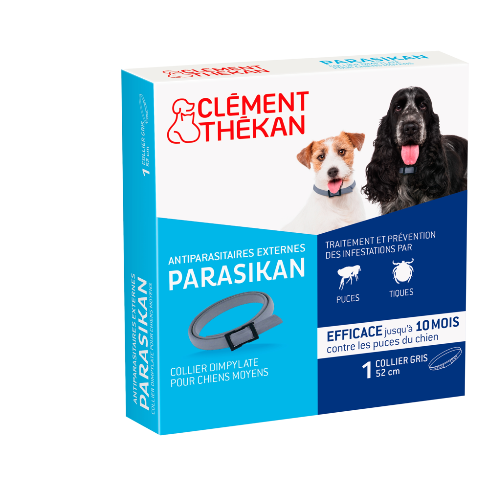 Parasikan chien collier 50 cm