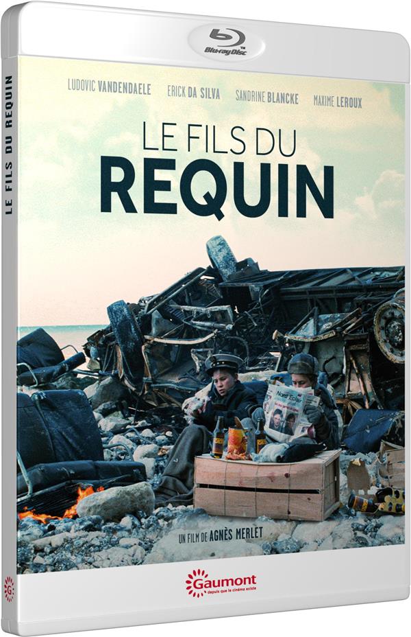 le fils du requin