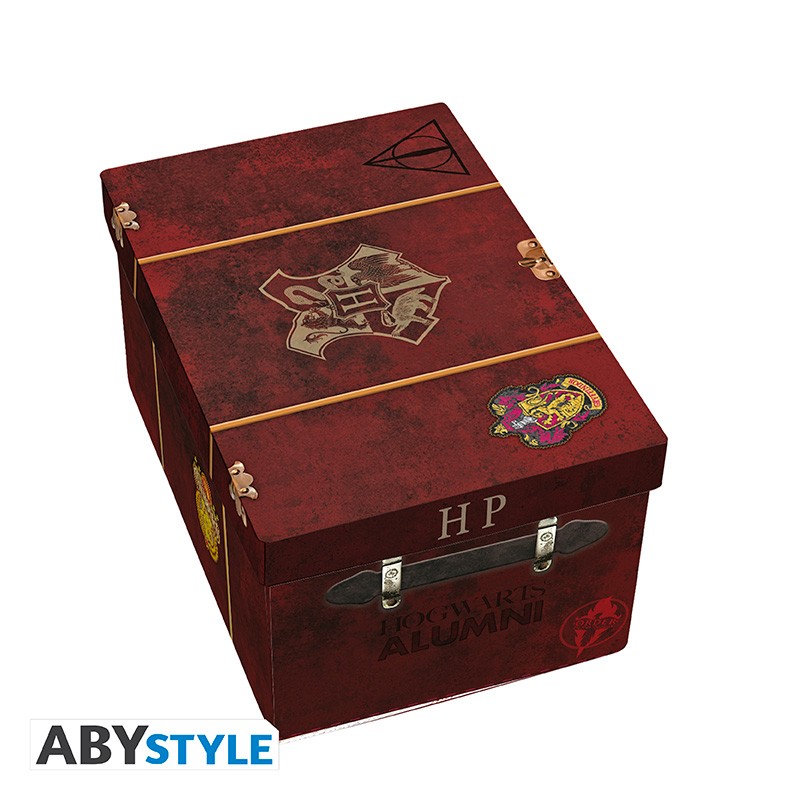 HARRY POTTER Coffret cadeau premium Mug 3D + Porte clés3D + Pin'
