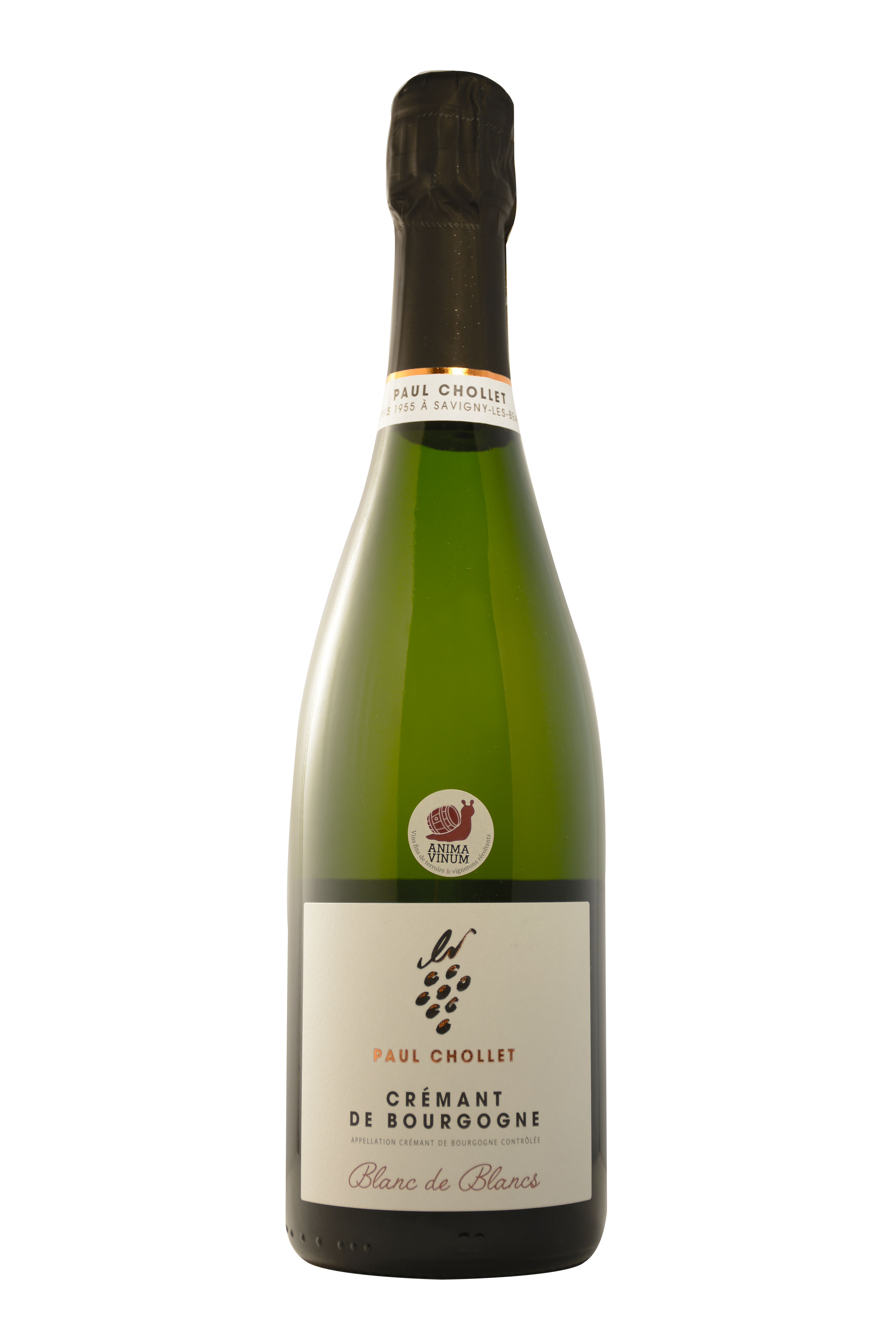 Crémant de Bourgogne Paul Chollet - Brut Blanc de Blancs - 75 cl