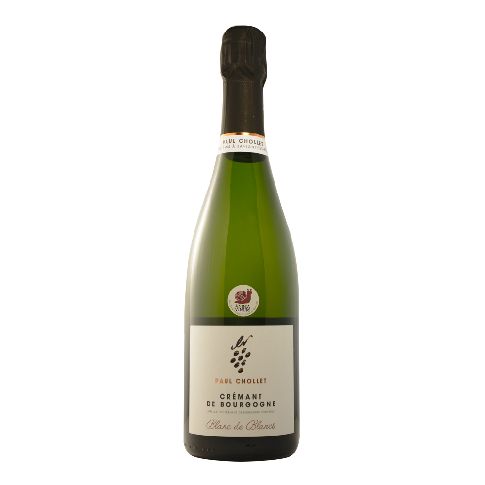 Crémant de Bourgogne Paul Chollet - Brut Blanc de Blancs - 75 cl