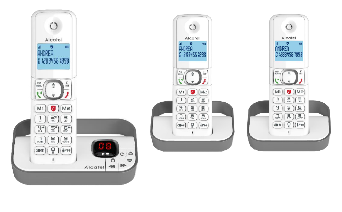 Téléphone Fixe Sans Fil Alcatel F860 Voice Trio Gris