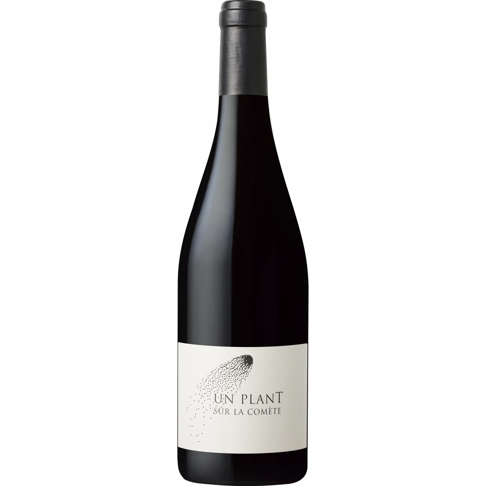 Julien Mus PlanT sur la Comète BIO, 2020 - Vin de France - Rouge - 75 cl