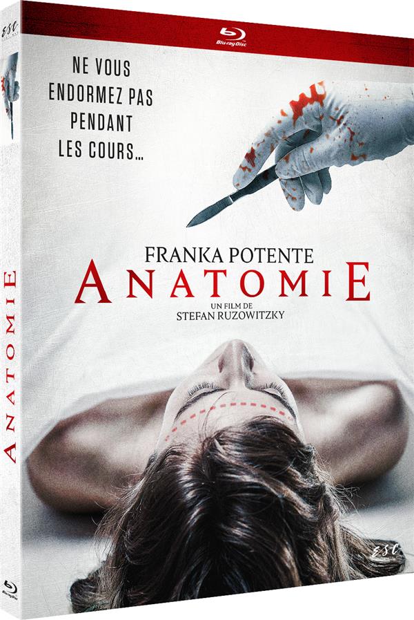 Anatomie