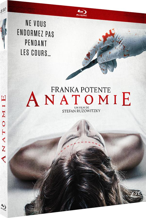 Anatomie
