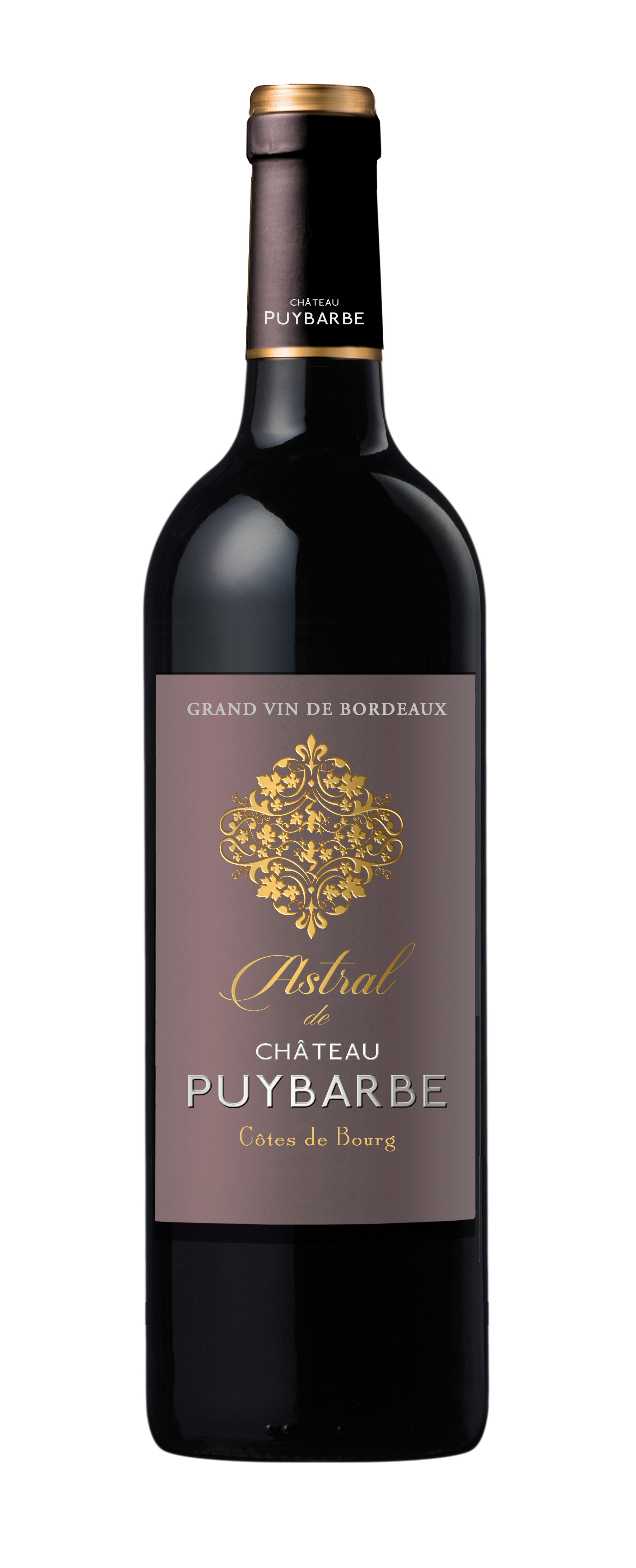 Astral de Château Puybarbe, 2019 - Côtes de Bourg AOP - Rouge - 75 cl