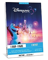 DISNEYLAND PARIS 1 JOUR / 1 PARC