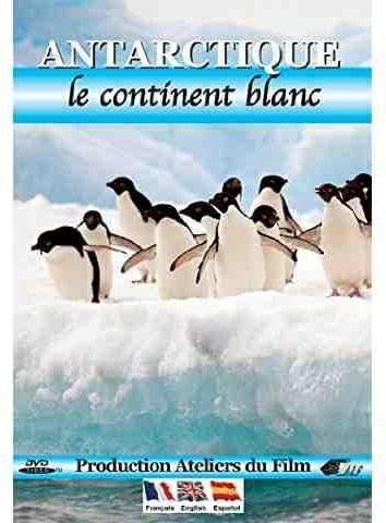 Antarctique - le continent blanc DVD