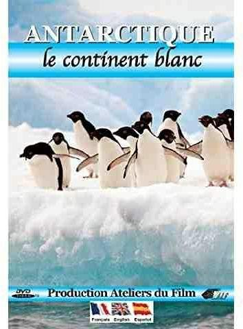Antarctique - le continent blanc DVD