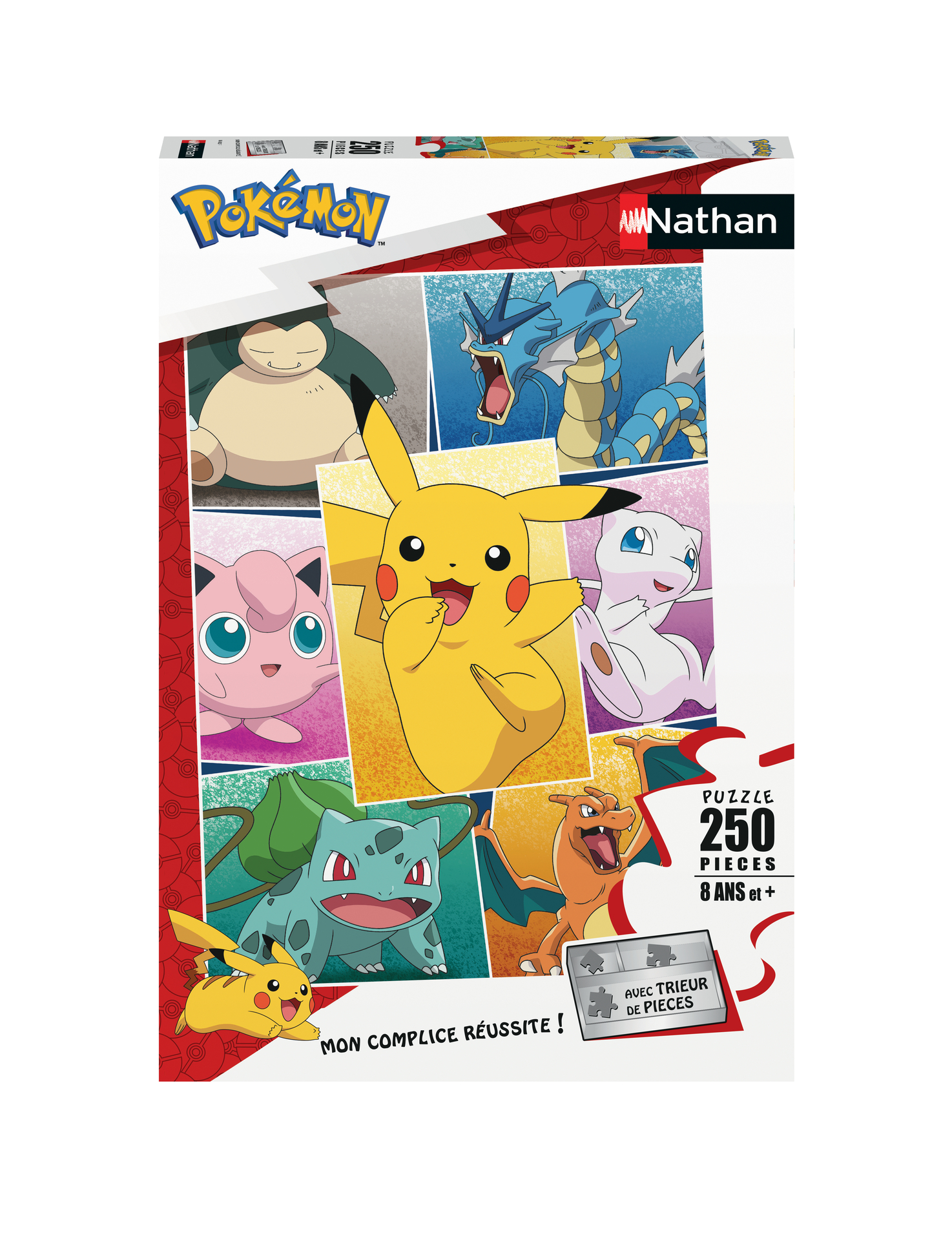 Puzzle 250 p - Types de Pokémon
