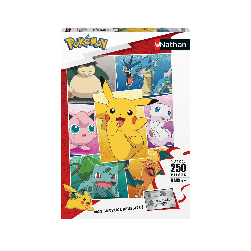Puzzle 250 p - Types de Pokémon