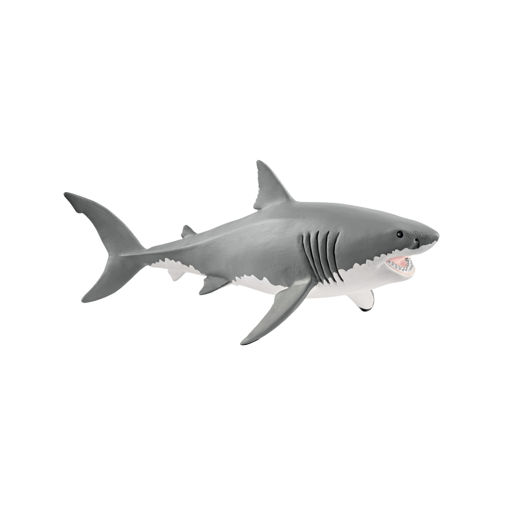 Requin Blanc